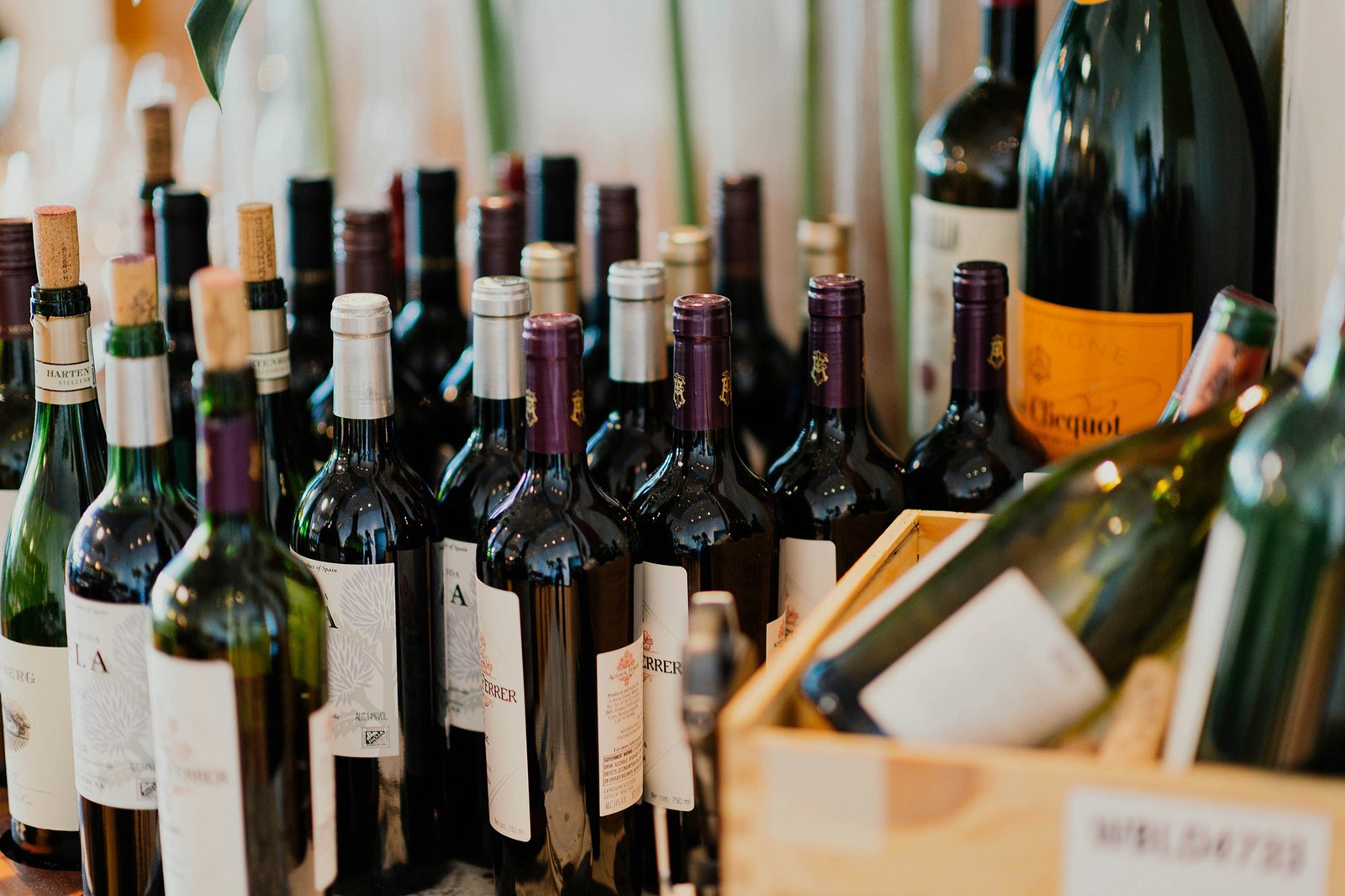 ‘It would put us out of business’: Restaurants, importers brace for 200% European wine tariff