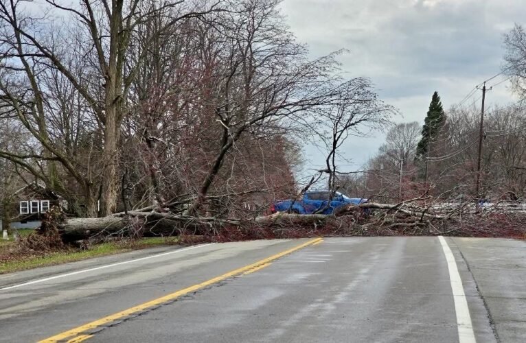 Gusts storm in: Wind causes power outages, damage to area | News, Sports, Jobs