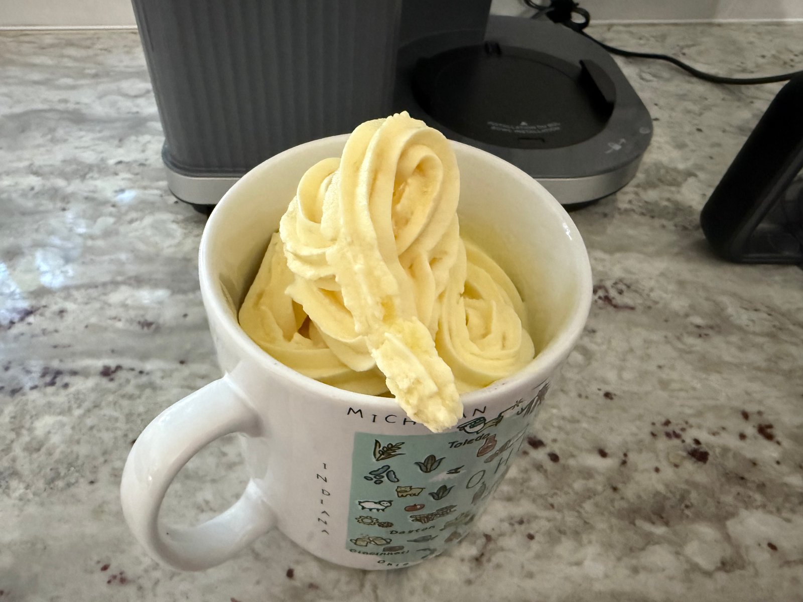 Ninja Swirl by Creami various recipes