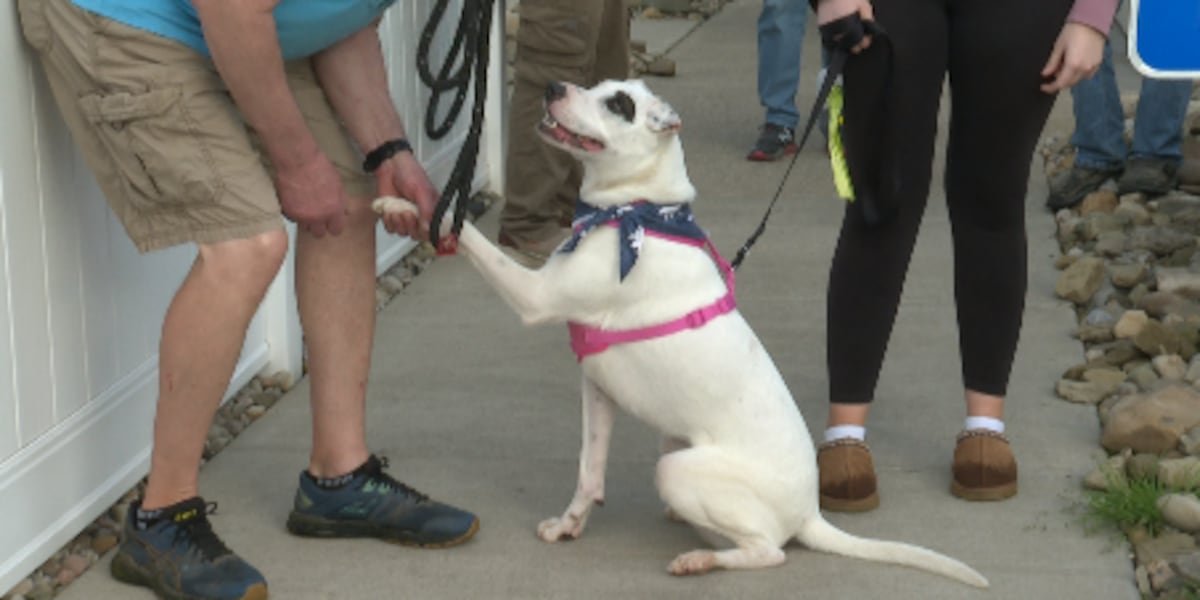HSOP extended its hours for the community to meet the shelter pups