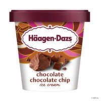 Haagen-Dazs Ice Cream, Chocolate Chocolate Chip - 14 Fluid Ounce