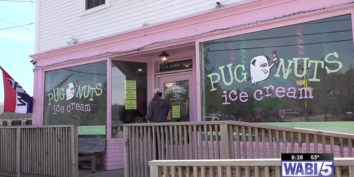 Pug-themed ice cream & gelato shop opens for 10th season - WABI