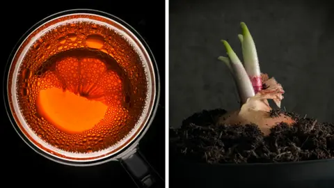 Harry and Hollie/World Food Photography Awards On the left is a birdseye view of a mug with an orange liquid and a slice of lemon in it. On the right is a picture of a pot with soil with the shoots of an onion poking up above the soil.