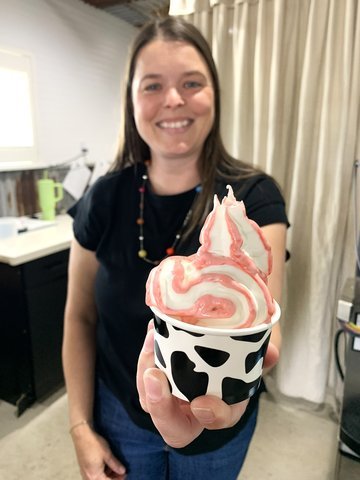 Stuyt Dairy Cheese ice cream launch set