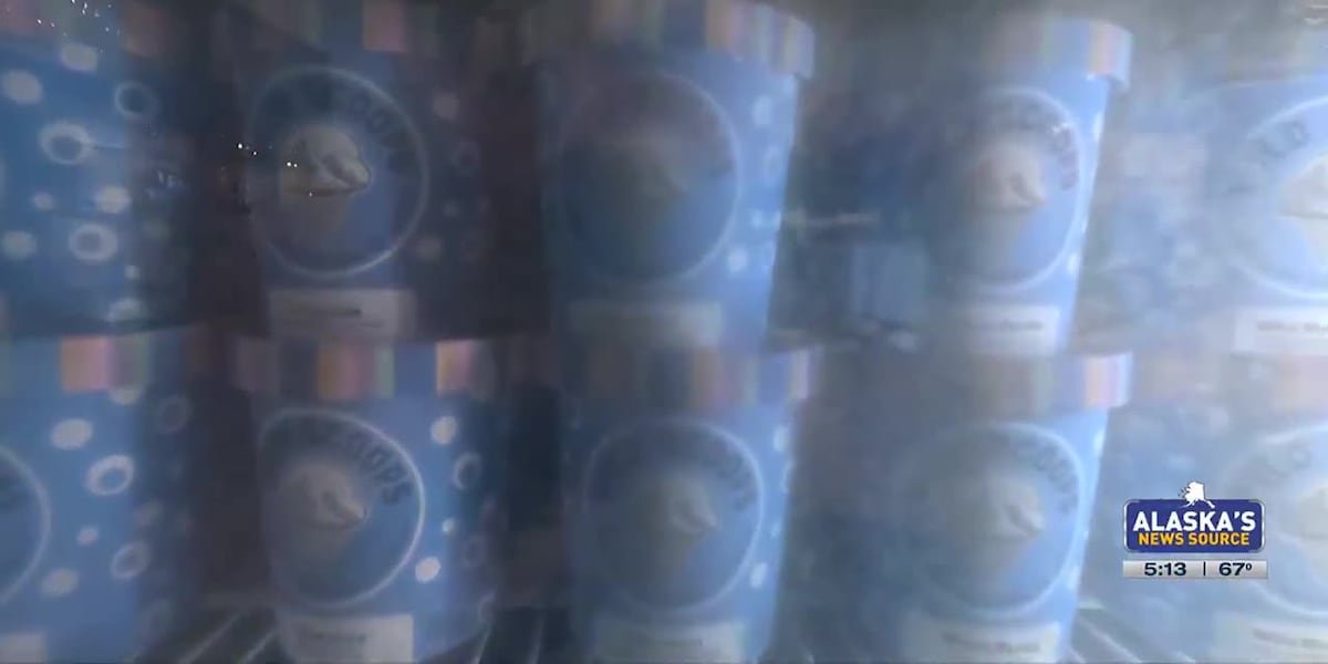 'The freshest ice cream you can get': Wild Scoops serves up summer fun for solstice