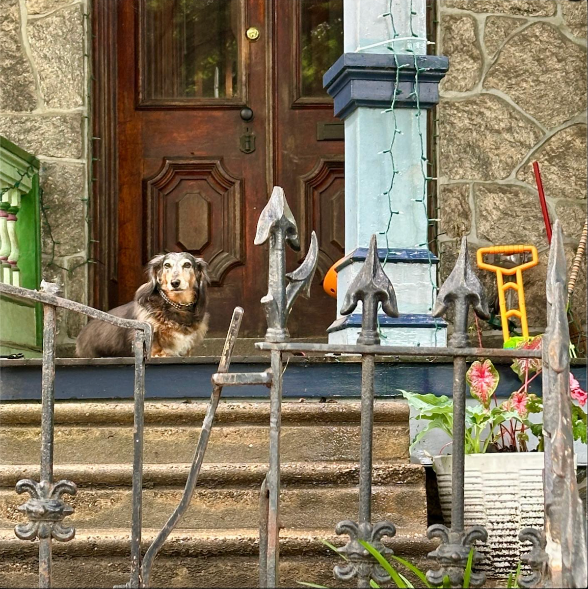 Foster care in Philly; Ice cream faves; Bodega curfew passed