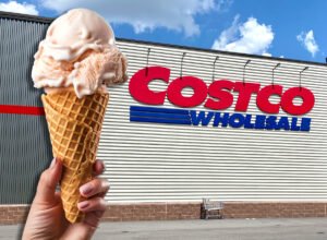 7 Costco Frozen Desserts Shoppers Are Loving This Summer