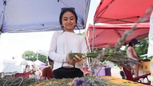 25 years of the Jackson Square Lavender Festival in Oak Ridge - Knoxville News Sentinel