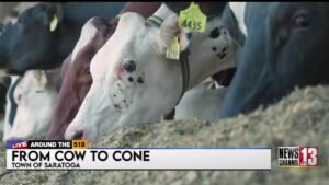 Stewart’s ice cream wouldn’t exist without Saratoga dairy farm partnership